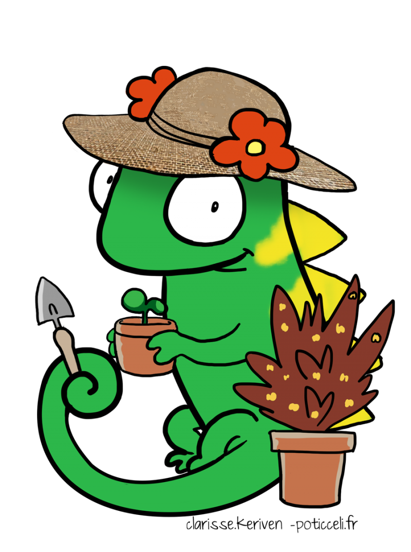 ANNULATION VENTE DES PLANTES
